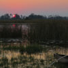 Resa till Botswana Okawango