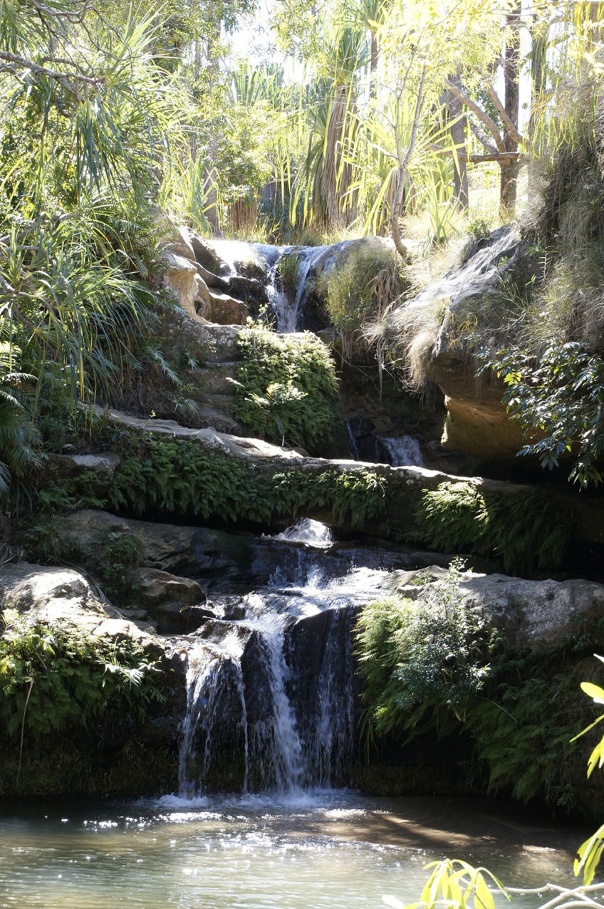 resa till madagaskar vattenfall natur