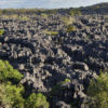 Resa till Madagaskar Ankarana nationalpark