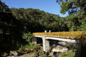Resa till madagaskar Ranomafana bro