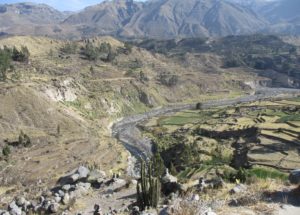 resa Peru Colca Canyon upplevelse