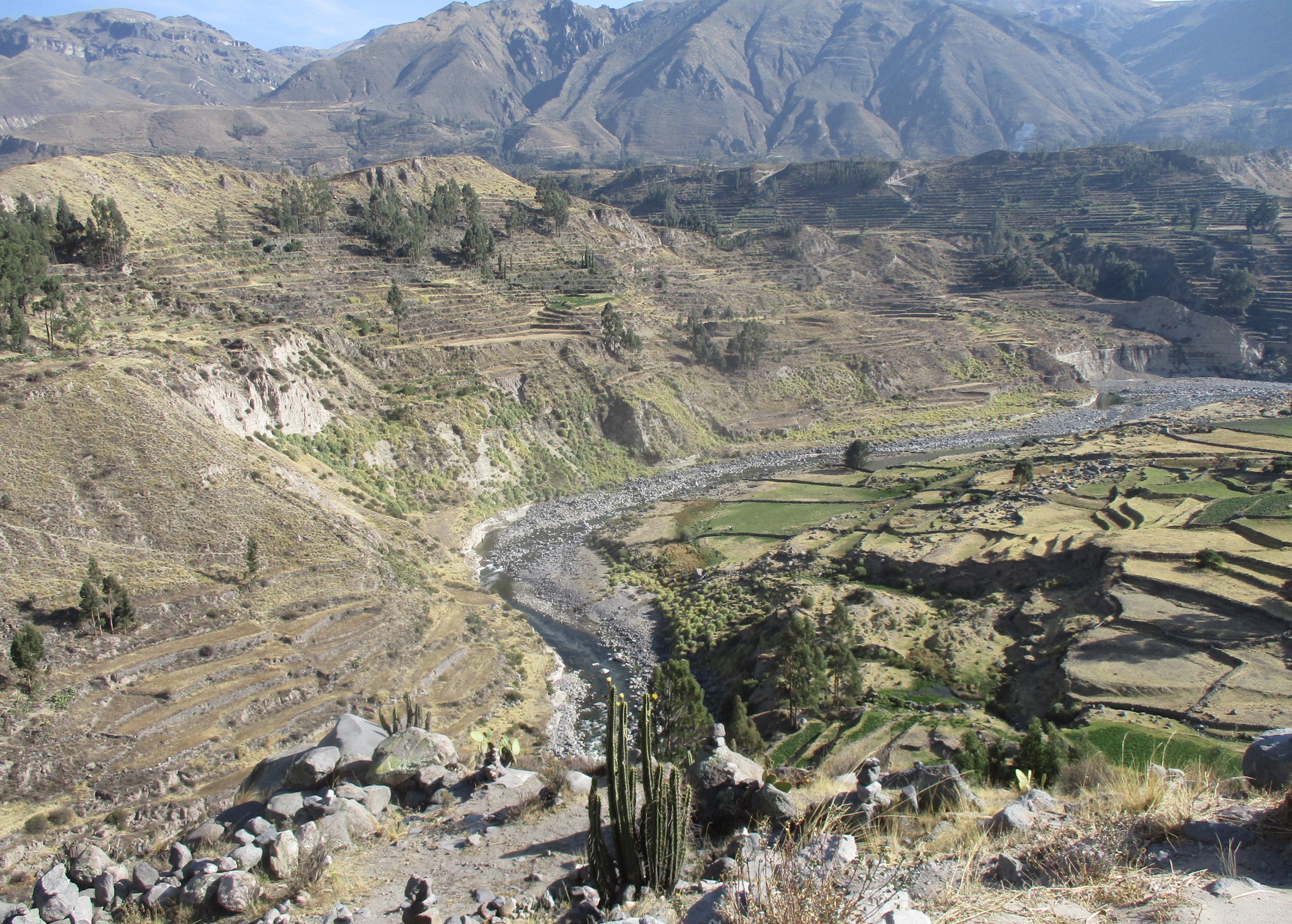 Peru Resa Colca Canyon