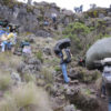Resa till Kilimanjaro Trekking