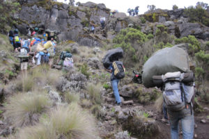 Resa till Kilimanjaro Trekking