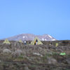 Resa till Kilimanjaro Trekking