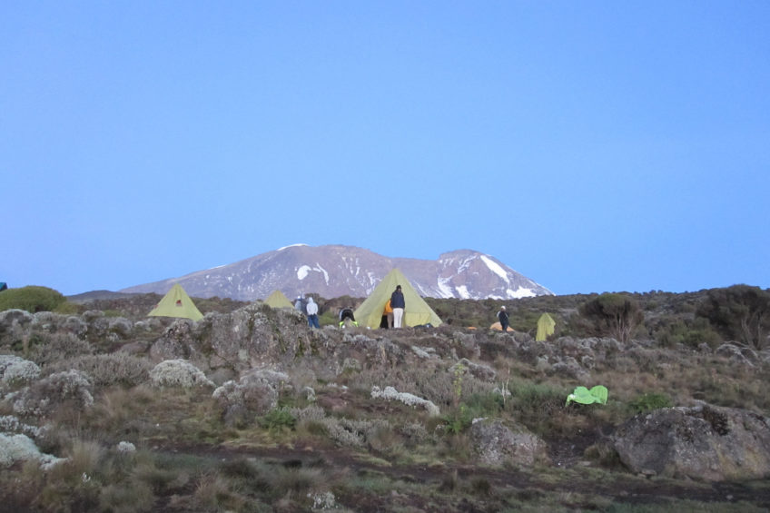 Resa till Kilimanjaro Trekking