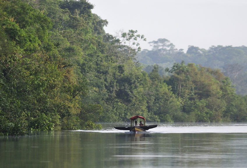 Resa till Peru Colombia Amazonas