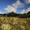 Resa till Colombia Nevado del Huila