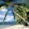 Resa till Malaysia Langkawi strand
