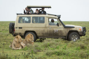 Resa till Tanzania Lake Manyara Tarangire Ngorongoro Safari