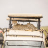 Resa Safari Serengeti gepard