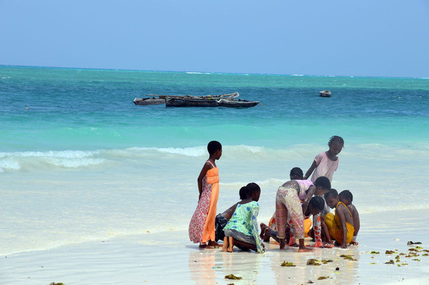 REsa till Zanzibar strand