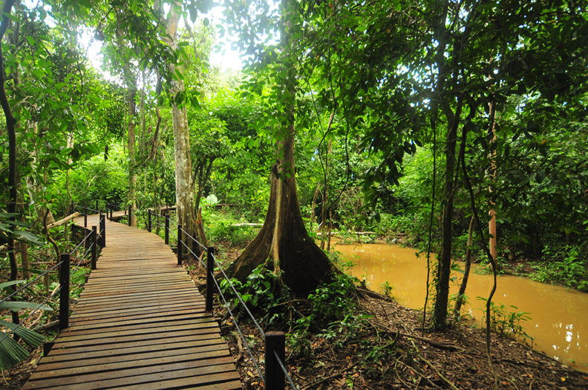 Resa till Malaysia Borneo Abai Jungle Lodge boardwalk