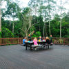 Resa till Malaysia Borneo MY Nature Resort