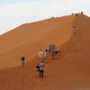 Resa till Namibia Sossusvleis sanddyner