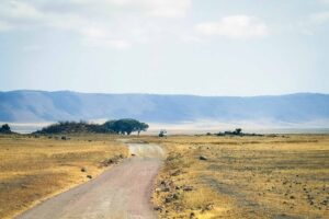 safari i Tanzania och sol bad Zanzibar