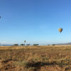 Resa till Tanzania Serengeti Luftballonger