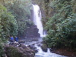 Resa till Costa Rica regnskog vattenfall