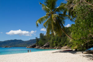 Resa till Seychellerna Mahé strand