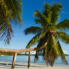 Resa till Seychellerna Praslin Cote D'Or Beach