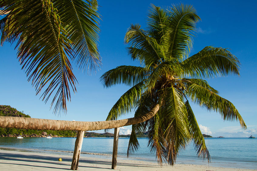 Resa till Seychellerna Praslin Cote D'Or Beach