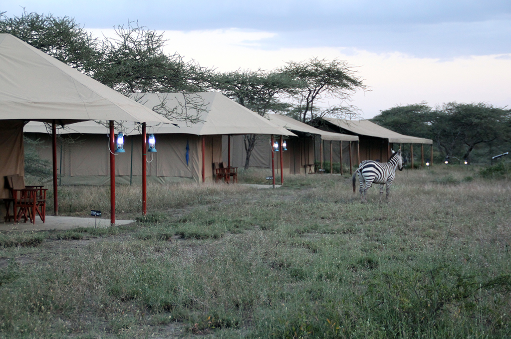 Kenzan Tented Camp