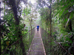 Resa till Costa Rica hängbro molnskogen