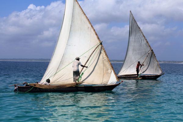 resa till Zanzibar safari solsemester