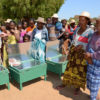 Resa till Madagaskar fairtrade