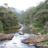 Resa till Madagaskar Ranomafana nationalpark