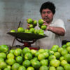 Resa till Mexiko Merida fruktmarknad
