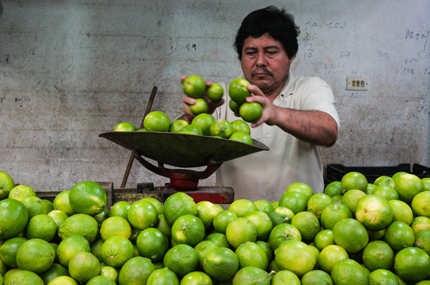Resa till Mexiko Merida fruktmarknad