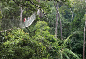 Kinabalu Park