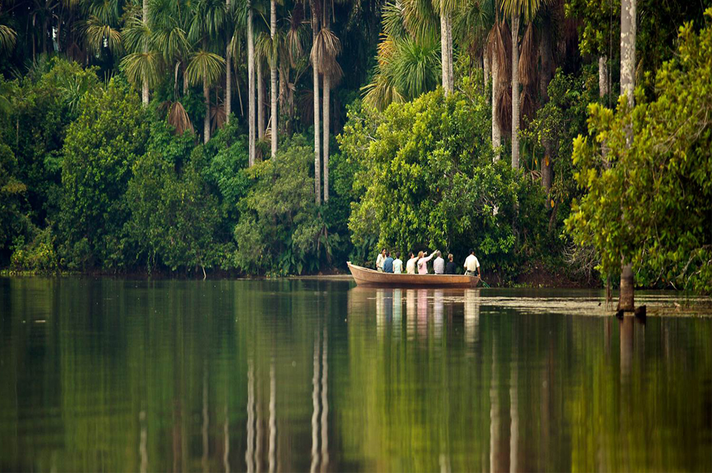Resa till Peru Amazonas regnskog Sandovalsjön