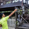 Resa till Malaysia Borneo Labuk Bay Proboscis Sanctuary