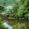 Resa till Malaysia Borneo Rainforest Discovery Centre