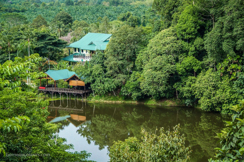 Resa till Malaysia Borneo Rainforest Discovery Centre