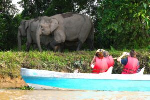 Borneo Kinabatangan River