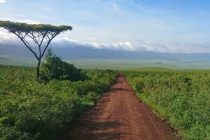 Tanzania resa, Ngorongorokratern