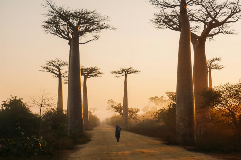 Resa till Madagaskar