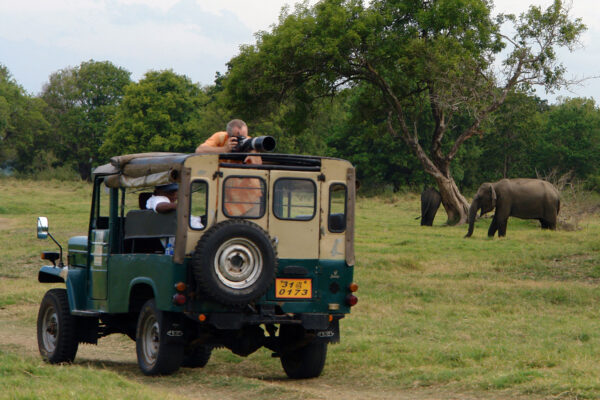 Sri Lanka resa med safari