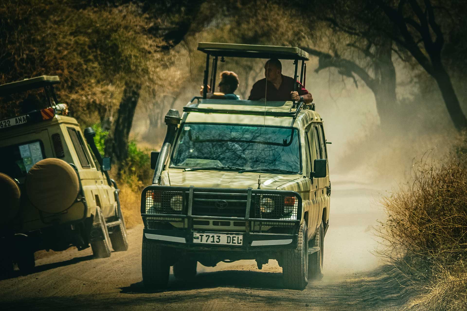 Gruppresa till Tanzania med svensk färdledare, november 2025