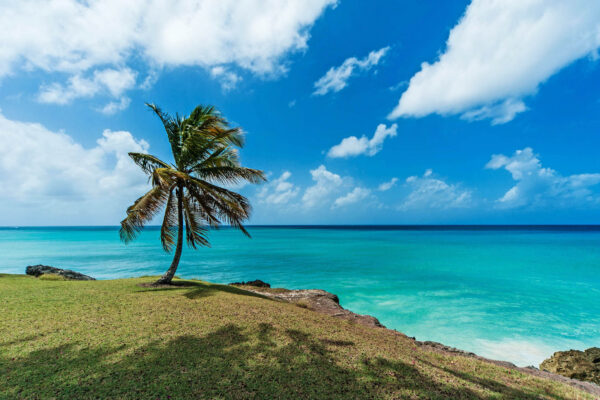 Barbados tips, 7 anledningar att resa till Barbados