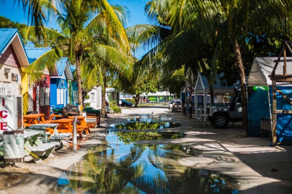 Barbados tips, 7 anledningar att resa till Barbados