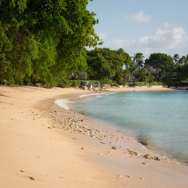 Barbados tips, 7 anledningar att resa till Barbados