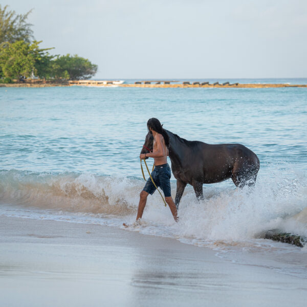 Barbados tips, 7 anledningar att resa till Barbados