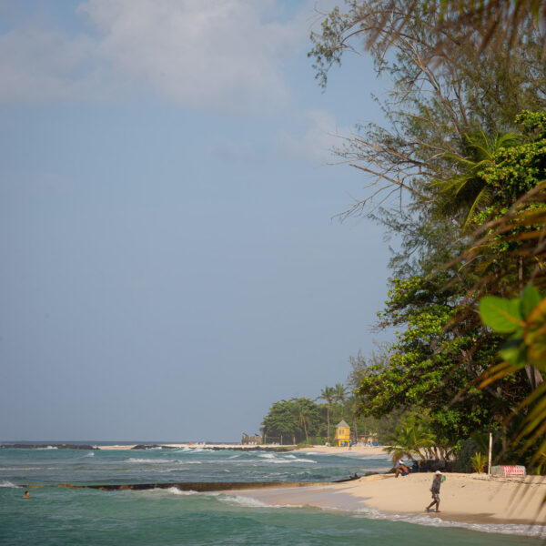 Barbados tips, 7 anledningar att resa till Barbados