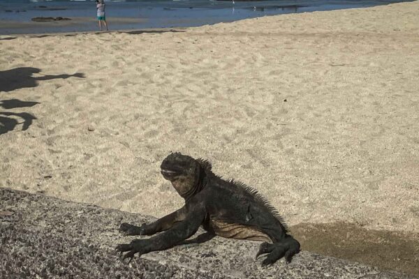 Resa till Galapagos, Cathrine Stjärnekull våren 2025