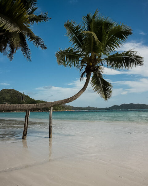 Saker att göra Praslin
